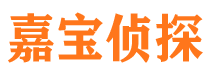 广东市调查公司